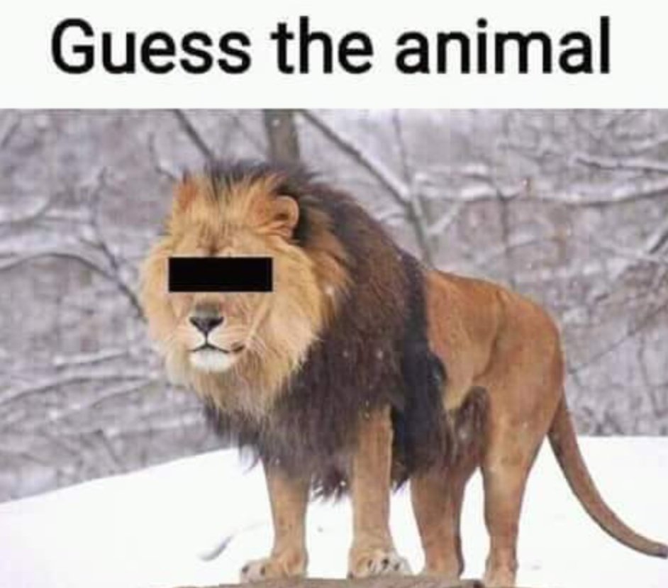 S117.eth tweet media