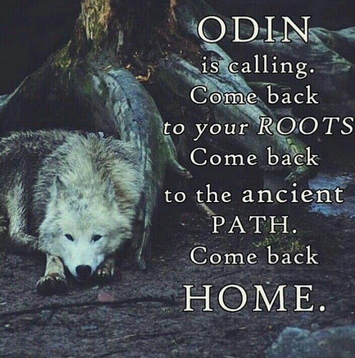 hidden_valkyrie's tweet photo. Listen and answer the call. #odin #norse #pagan #nordic #witchcraft https://t.co/z2Et9PFrmN