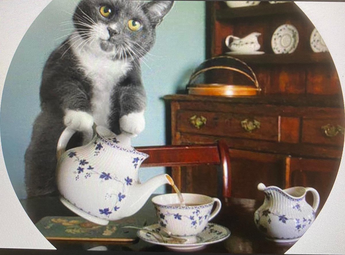 debbiehalf's tweet image. Sick swan having pre-drinks before the quiz @yoururmston @TheUrmston @HotSpotQuiz