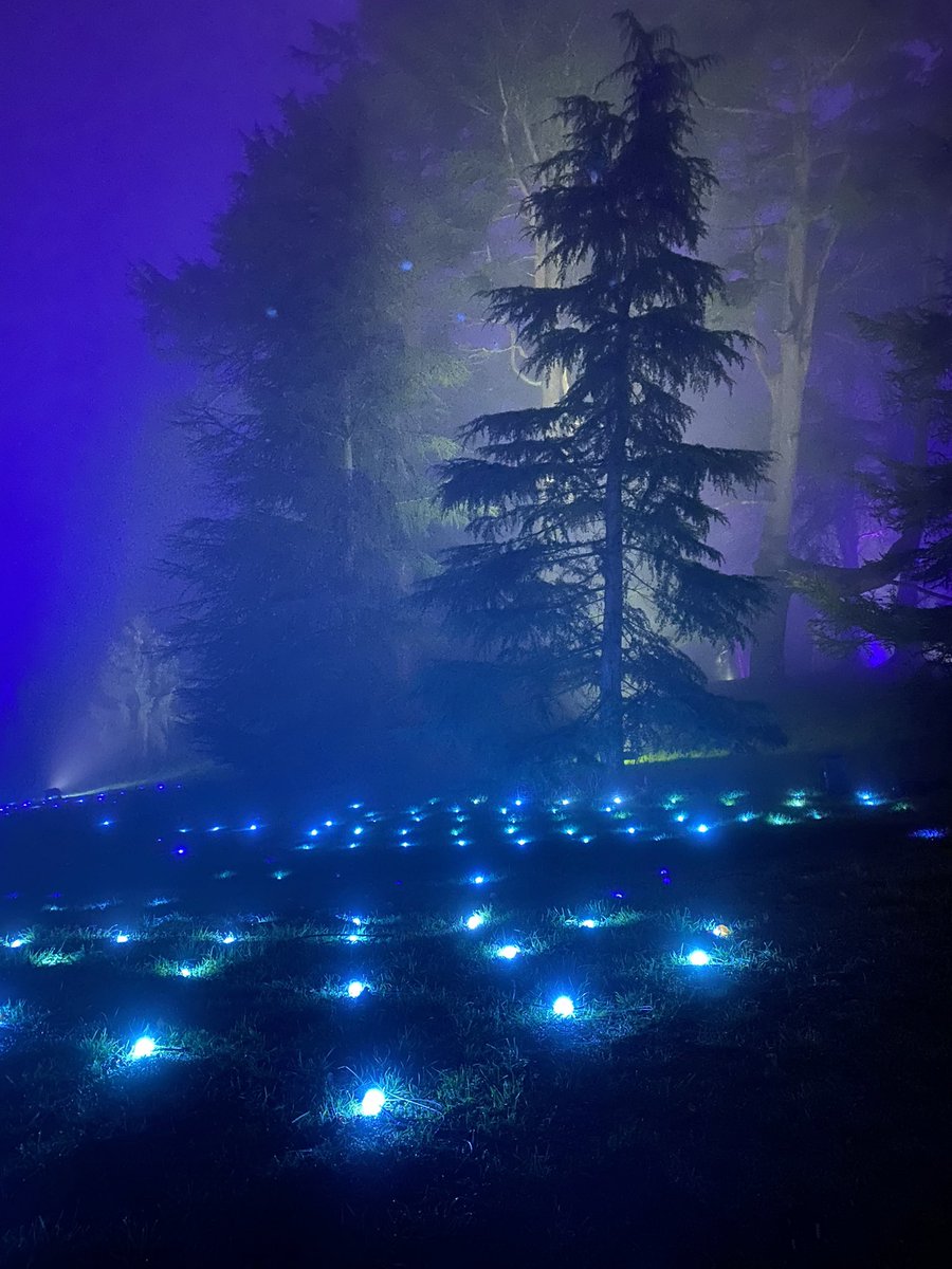 ZNicholas's tweet photo. @WaddesdonManor ,stunning foggy light show tonight https://t.co/9QGhMYLYxI