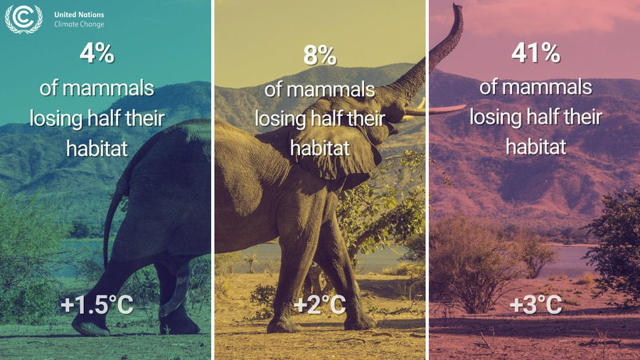 How is #ClimateChange affecting #biodiversity? 🤔

One example: ➡️ The risk of species extinction increases with every degree of global warming. 🐊 🐘

#ForNature #COP15 #COP27 #cop27egypt 
📷 <a href="/UN/">United Nations</a>

via <a href="/IPBES/">ipbes</a>