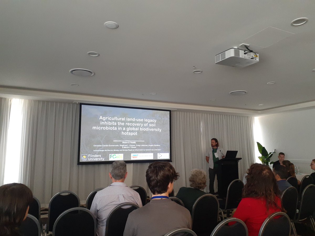 Shawn Peddle tweet media