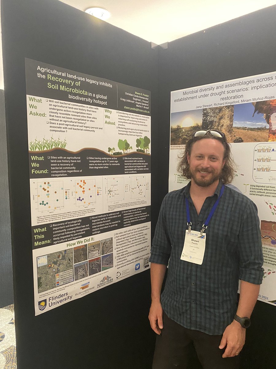 Shawn Peddle tweet media