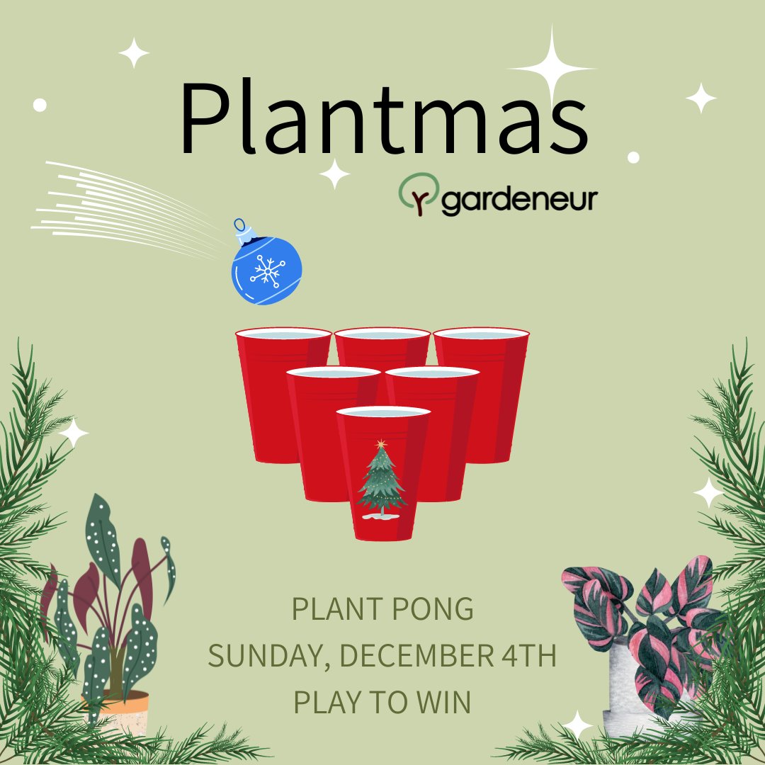 Plant Pong: Proof that sports and plants do mix! Grab your teammate and try to win a plant prize

Plantmas Holiday Plant Market | Gardeneur x BARTs⁠
James Lick High School, 57 N White Rd, San Jose ⁠
12/4/22 | 10a-4p

🎟Tickets available on Gardeneur.com or at the door