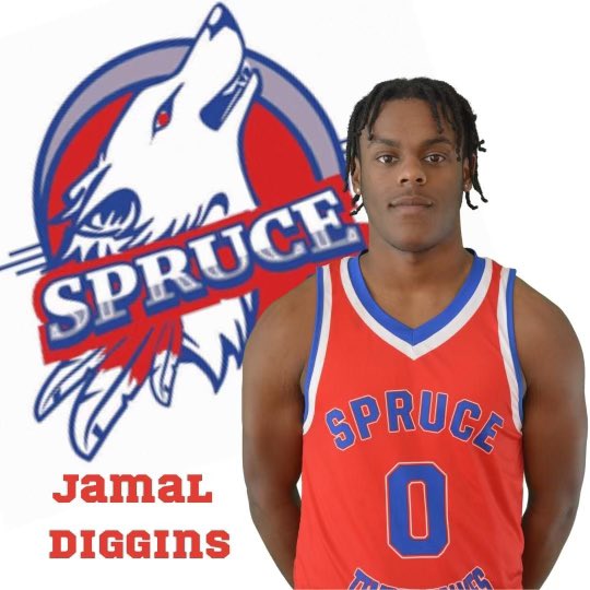 Spruce Timberwolves Basketball tweet media