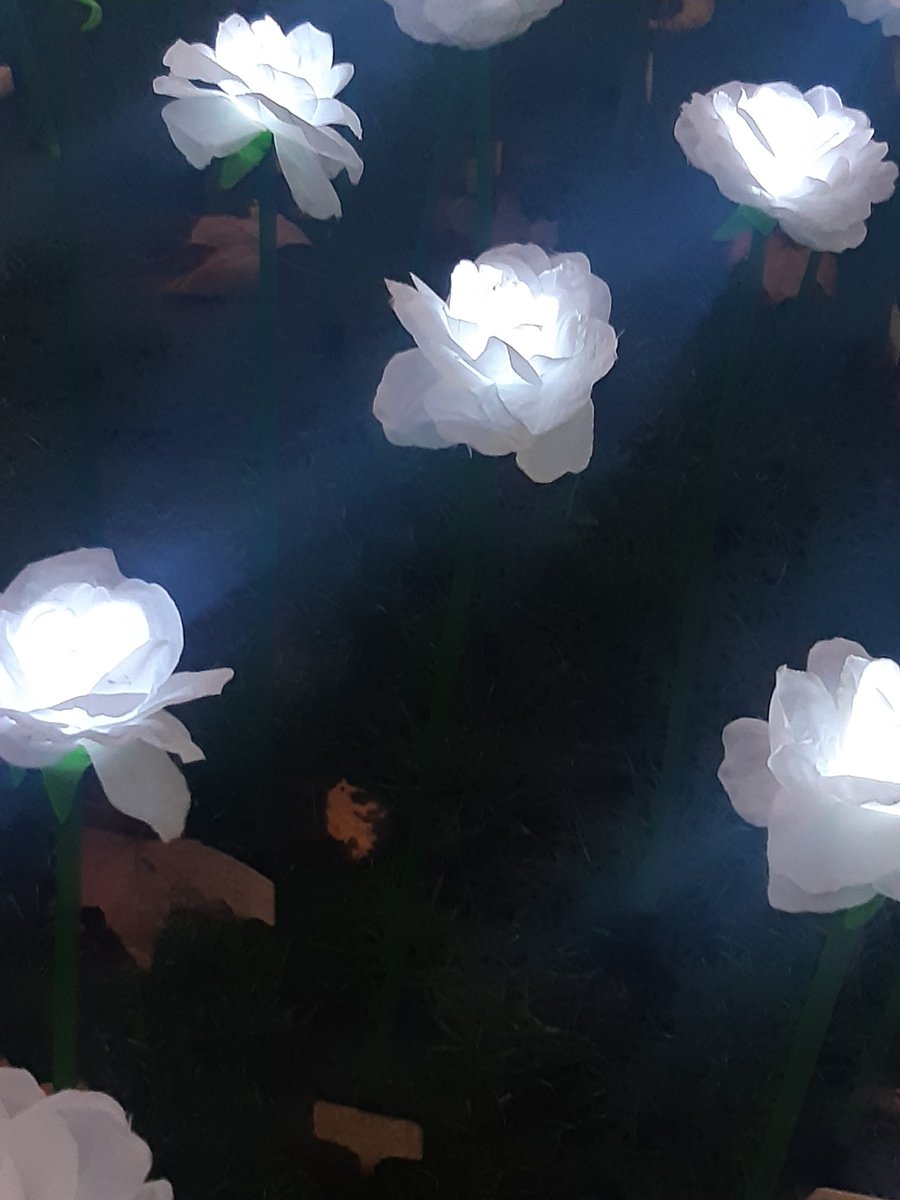 Jenny Barsby tweet media