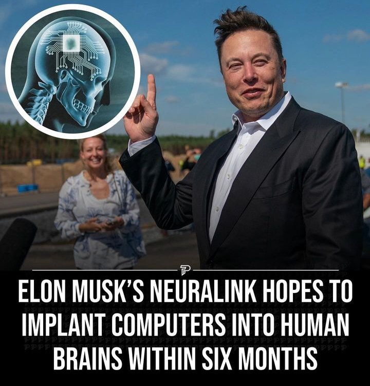 renderizergirl's tweet image. Si me agrega programas de diseño y renderizacion, soy voluntaria.
#trinitymatrix