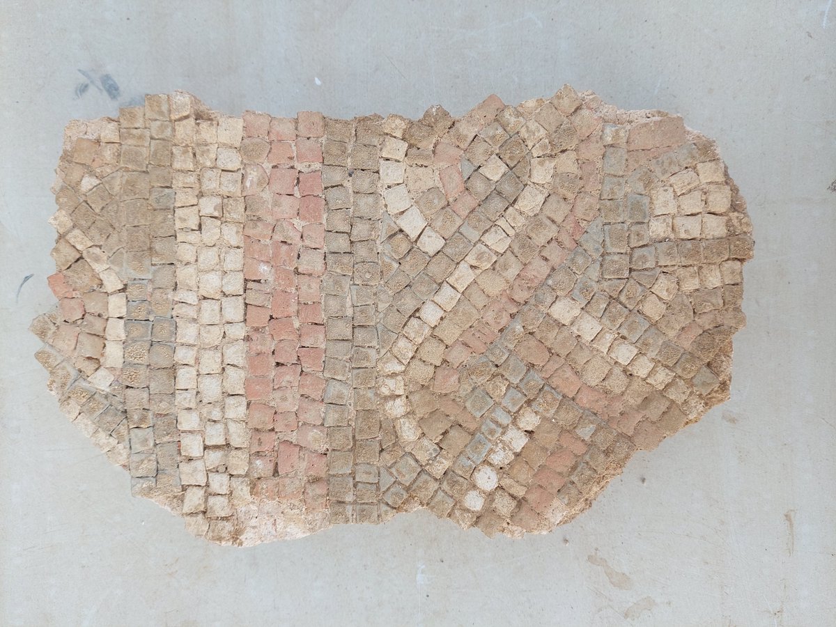 Continuing our bumper #FindsFriday. A fragment of patterned mosaic from a corridor next to the #RutlandRomanVilla's Trojan War mosaic.
#Roman #archaeology #Rutland #RomanBritain #mosaic @HistoricEngland @ArchAncHistLeic
