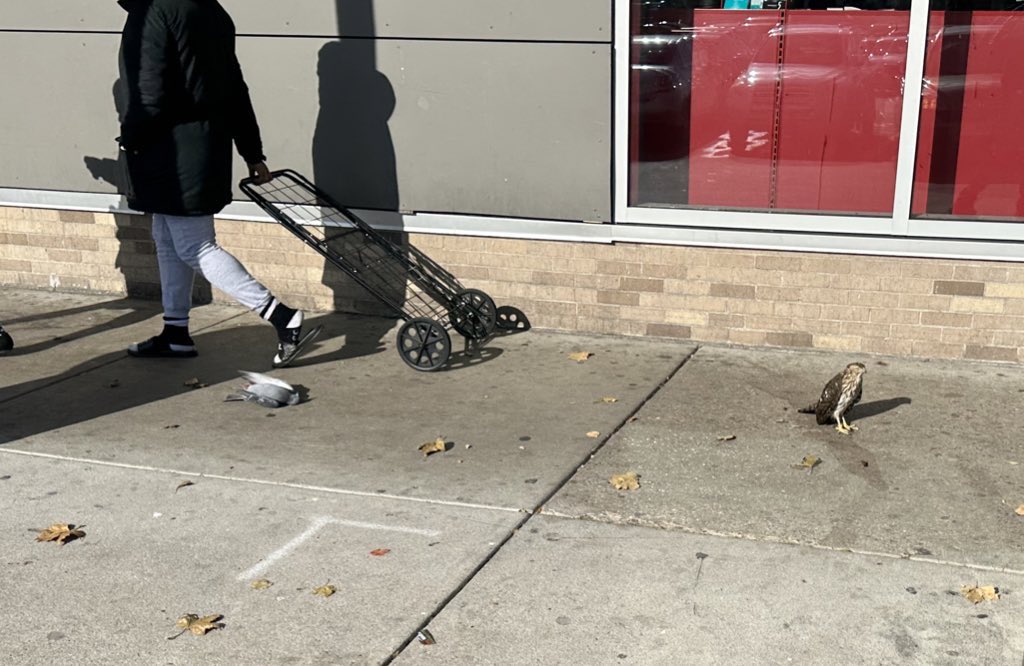 anthonygentile's tweet photo. Quite the crime scene at the Field’s Corner Target today! I’m not sure if it was murder, I only saw the aftermath 😬 https://t.co/r6SoDTP2CJ