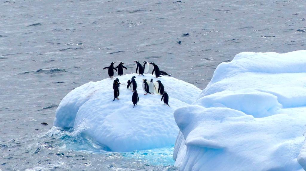 Today we celebrate #AntarcticaDay, as on Dec.1st 1959 Antarctic Treaty was signed allowing science to reach the most remote area of our planet! We will keep on that... Stay tuned!