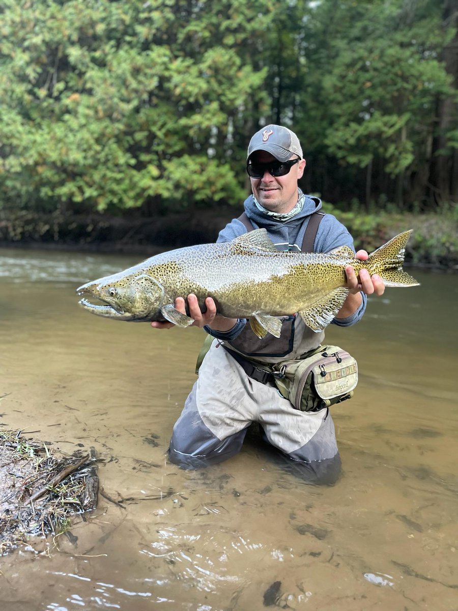 Goodness, #kingsalmon sure are a lot of fun! #dripfishcoffee #Coffee #CoffeeTime #fishing