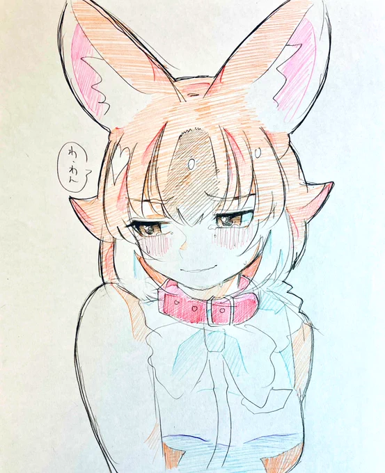 わん… 