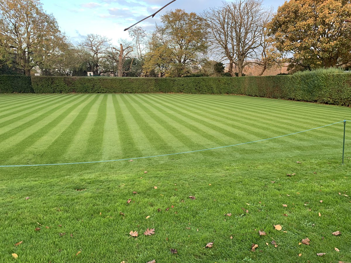 Courts looking ok going into winter with colder weather now coming. The team have done a great job. Feed last week, aerated and cut this week. 

Our new apprentice getting better each time using a cylinder mower with nice presentation to show for it. 

New grow light set up too👌