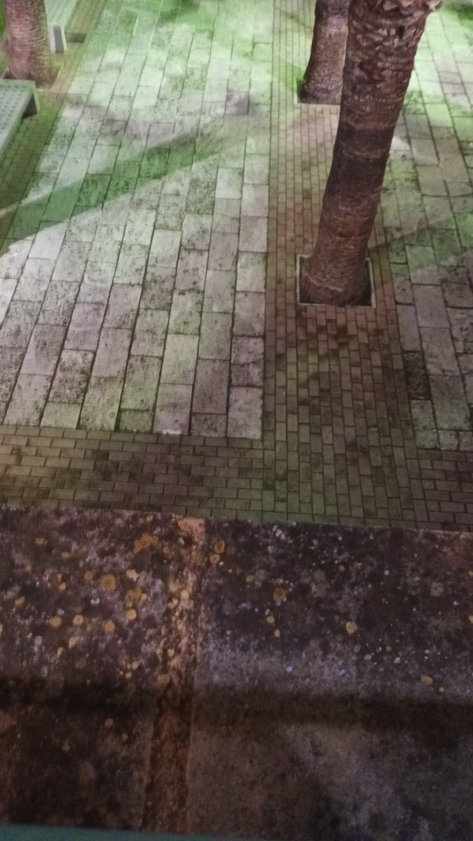 Julio Iglesias (@mateoranzripoll) on Twitter photo 