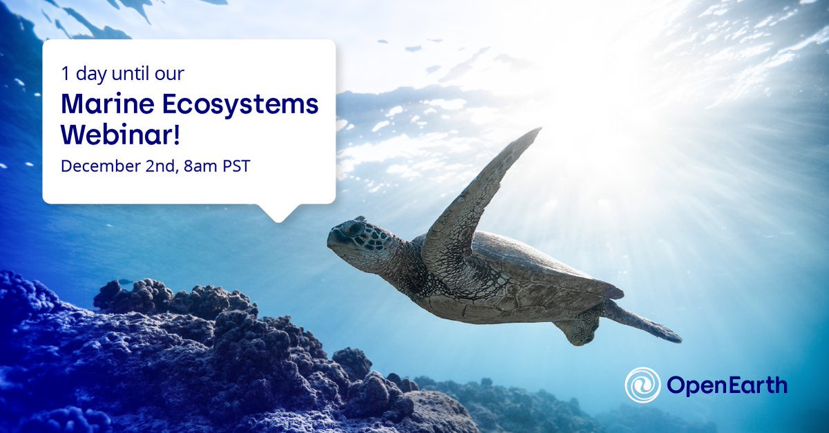 Open__Earth's tweet photo. Join us tomorrow at 8:00 AM PST for our Marine Ecosystem Credits webinar! 🪸
Learn how we are building financial mechanisms to fund conservation and innovating credits for marine ecosystems.
https://t.co/P7Gop80Km6 

#OpenEarth #ReFi #MarineConservation #Oceans #OceanDrop https://t.co/mmgcjJfpmb