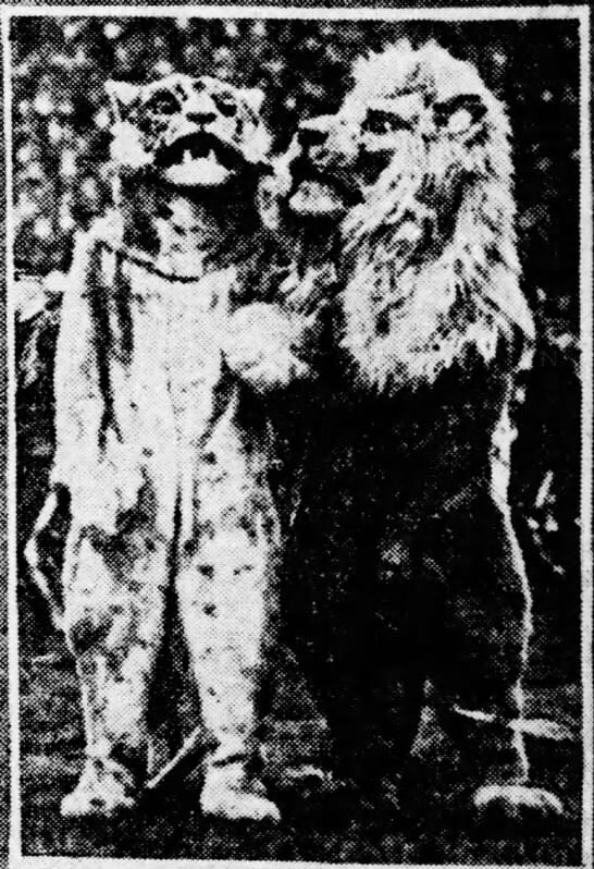 CastorWheels On Twitter Why Is The Nittany Lion Costume SO MUCH castorwheels-on-twitter-why-is-the-nittany-lion-costume-so-much