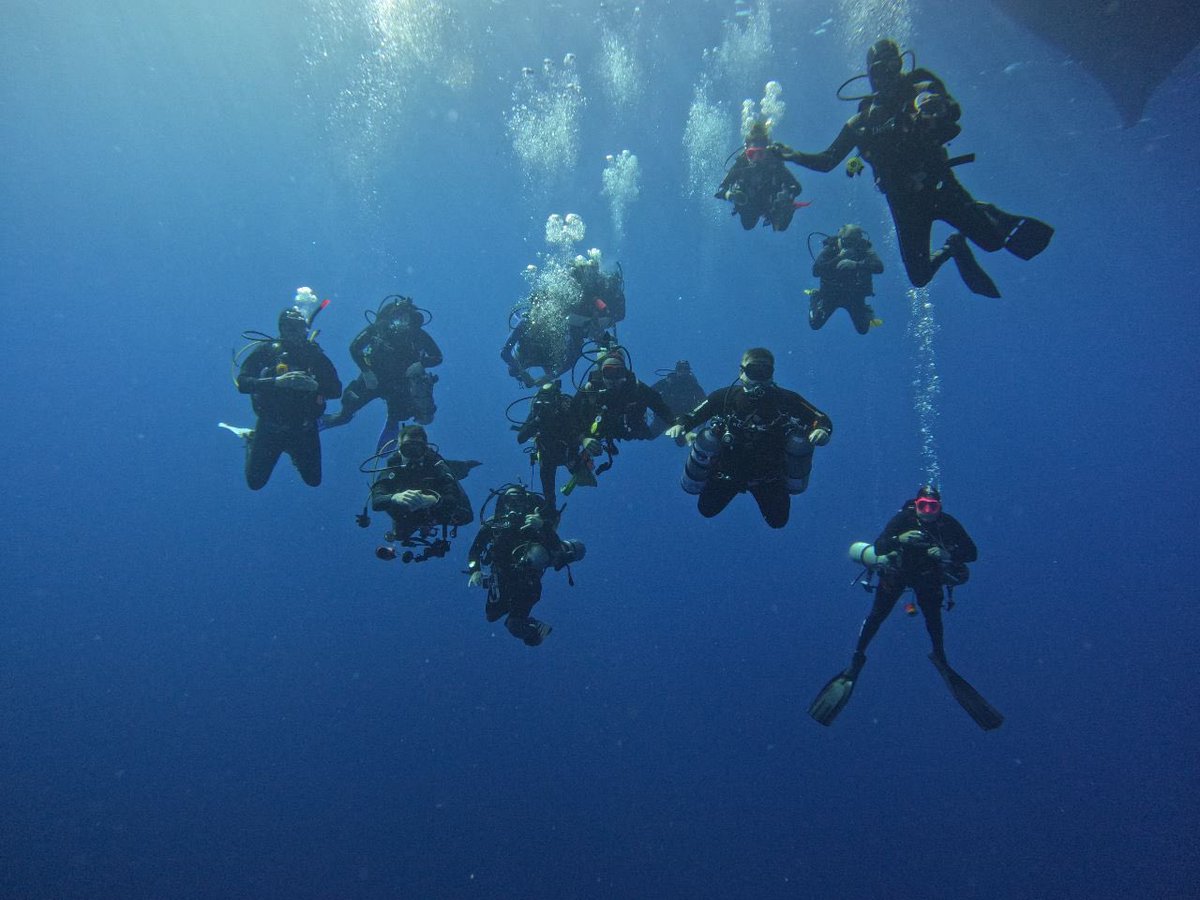 DIVE TEAM ASSEMBLE!!!

.
#scubadiving #scuba #scubatourism #diving #travel #underwater #underwaterphoto #diveinstructor