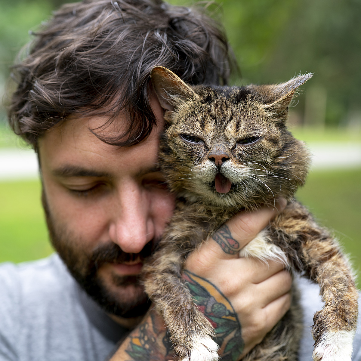 3 years ago today, BUB left planet Earth- mailchi.mp/lilbub/hi-toda…