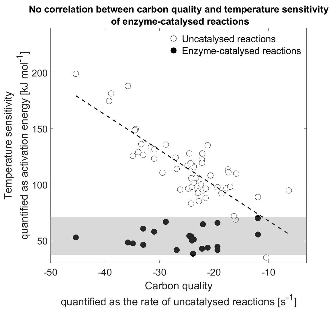 Global Change Biology (@globalchangebio) on Twitter photo OPINION
The carbon‐quality temperature hypothesis: Fact or artefact?
📄 bit.ly/3XLHQnY
<a href="/waikatoscience/">Te Aka Mātuatua - School of Science</a> <a href="/mwlr_nz/">Manaaki Whenua Landcare Research</a> OPINION
The carbon‐quality temperature hypothesis: Fact or artefact?
📄 bit.ly/3XLHQnY
<a href="/waikatoscience/">Te Aka Mātuatua - School of Science</a> <a href="/mwlr_nz/">Manaaki Whenua Landcare Research</a>