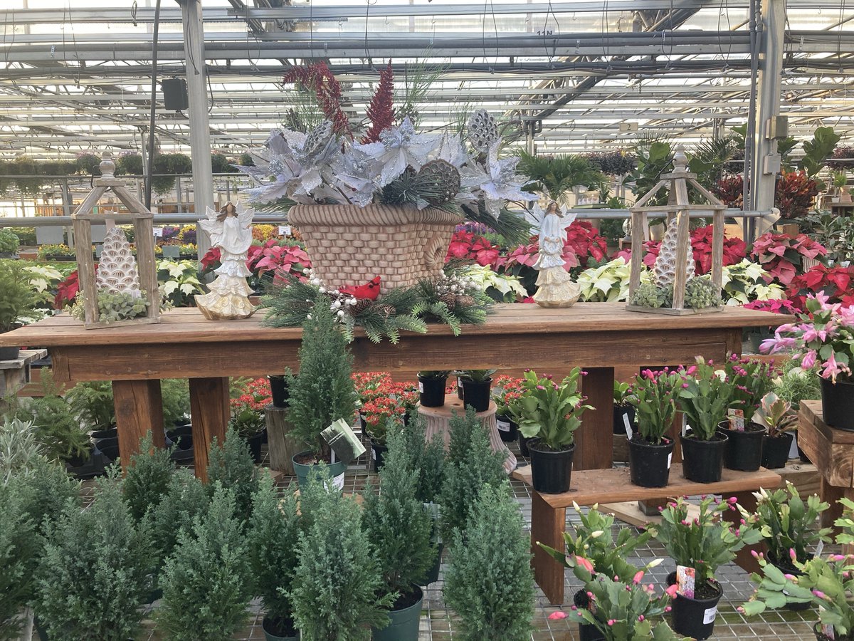 Meadow_View's tweet photo. I plant imagine the holidays without you
#ChristmasDecorating #MVGChristmas #Wreath #Evergreen #christmasdecor #HappyHolidays #christmasiscoming #christmasspirit   #christmasseason #christmasinspiration #holidayseason #holidaydecor https://t.co/NWsClyxIEN