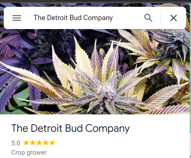 TheDetroitBudco's tweet photo. Had a good experience with us or our herb? Please leave us a google review!⚙️
https://t.co/YxbUbKblL7 https://t.co/xXwX7FiBZq