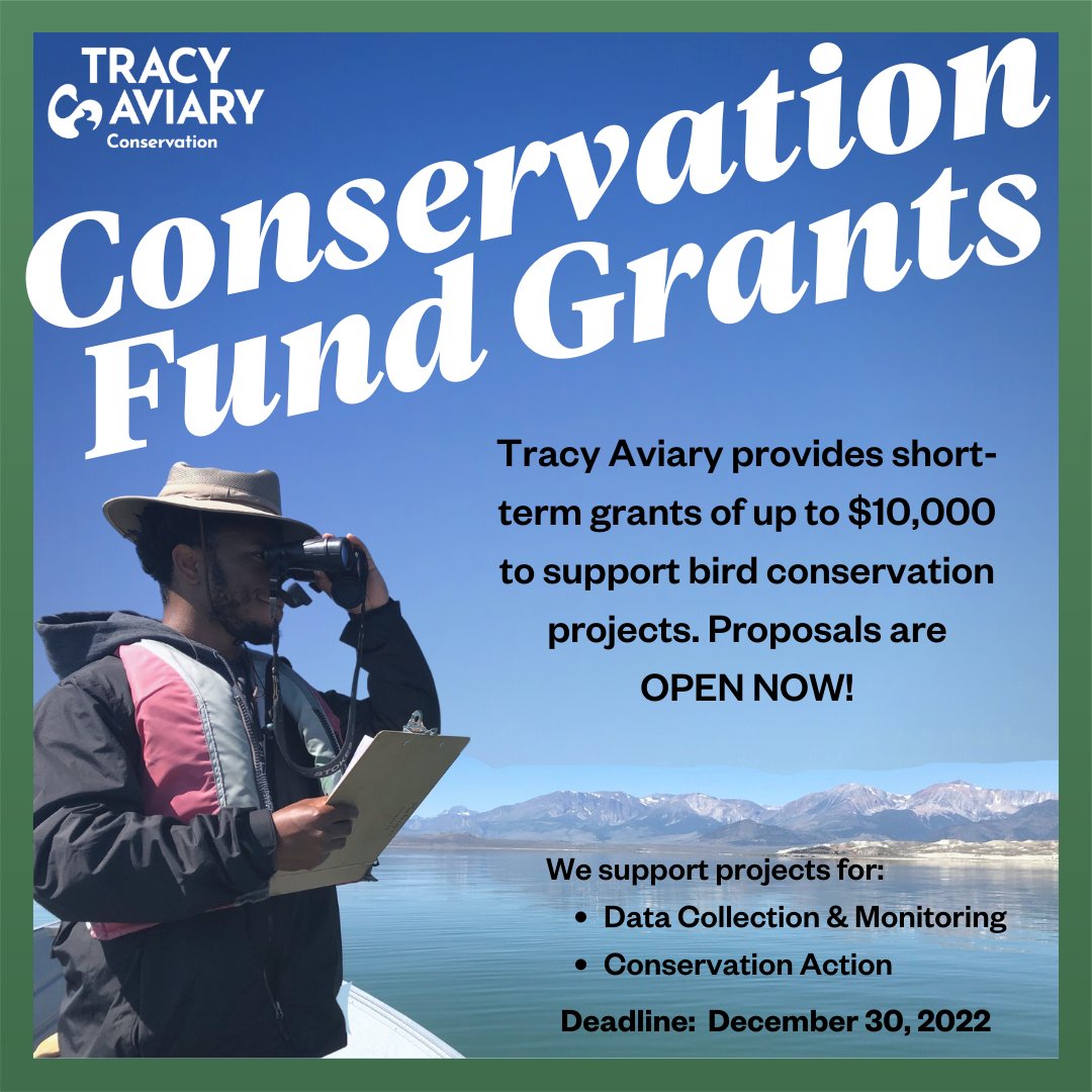 TracyAviary's tweet photo. Proposals open for Conservation Fund Grants! Short-term #grants of up to $10,000 to support avian #conservation projects. Open to: nonprofit organizations, public/private educational organizations, federal, state, local agencies, and tribal governments. https://t.co/Bar31dzXyP https://t.co/iTwQoXmDLJ