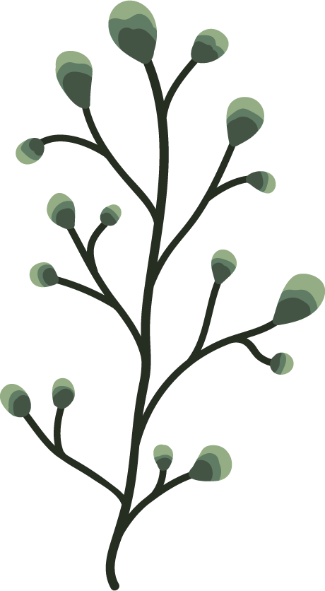 magipikcom's tweet photo. Leaf and plan used a lot in designing. Does this help for your design?
https://t.co/HrwJhmWPFD
#dailyvector #freevector #leafvector https://t.co/kChbPoMEoD