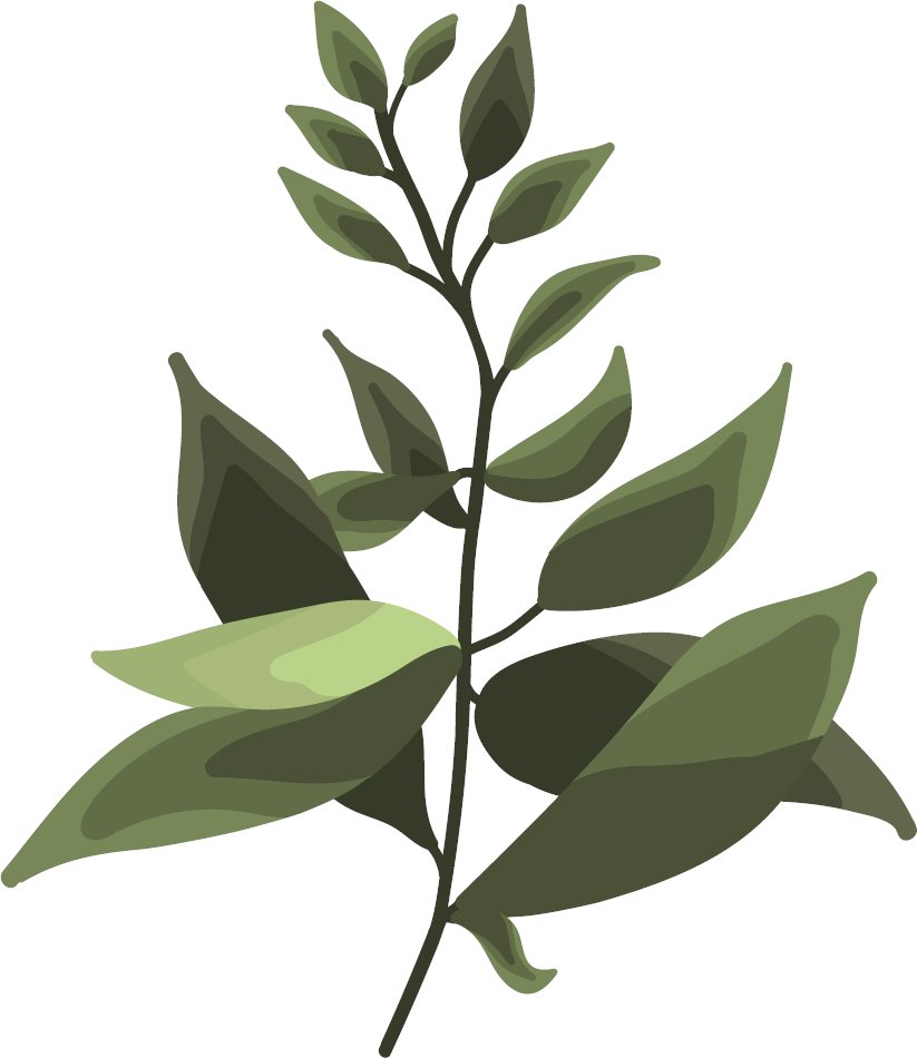 magipikcom's tweet photo. Leaf and plan used a lot in designing. Does this help for your design?
https://t.co/HrwJhmWPFD
#dailyvector #freevector #leafvector https://t.co/kChbPoMEoD