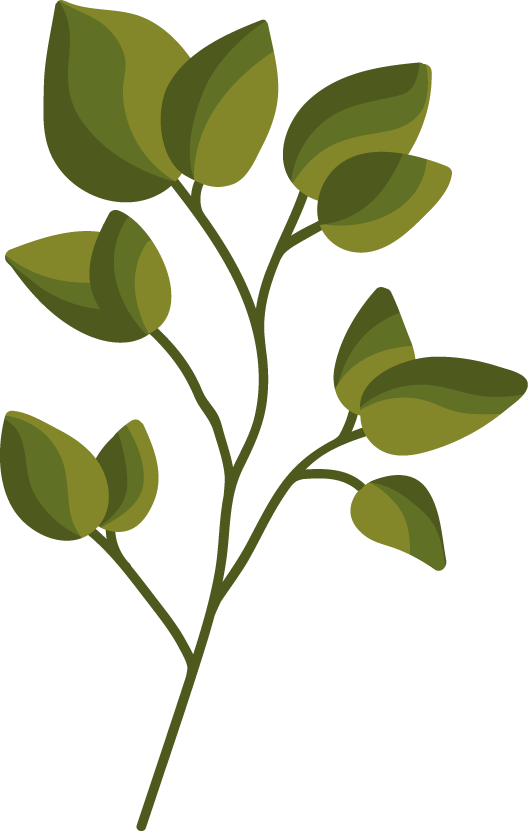 magipikcom's tweet photo. Leaf and plan used a lot in designing. Does this help for your design?
https://t.co/HrwJhmWPFD
#dailyvector #freevector #leafvector https://t.co/kChbPoMEoD