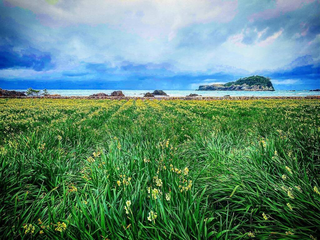 discoverechizen's tweet photo. #福井 #越前海岸 #越前海岸盛り上げ隊 #fukui #echizen #discoverechizen https://t.co/v6jlRARL7o