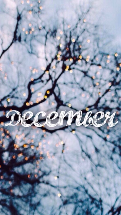 Happy December, Chic'ers! Wishing you all a happy holiday season!
.
.
.
.
.
#thechicguide #thechicguidedayton #937#supportlocal #shoplocal #shopsmall#thingstodoindayton