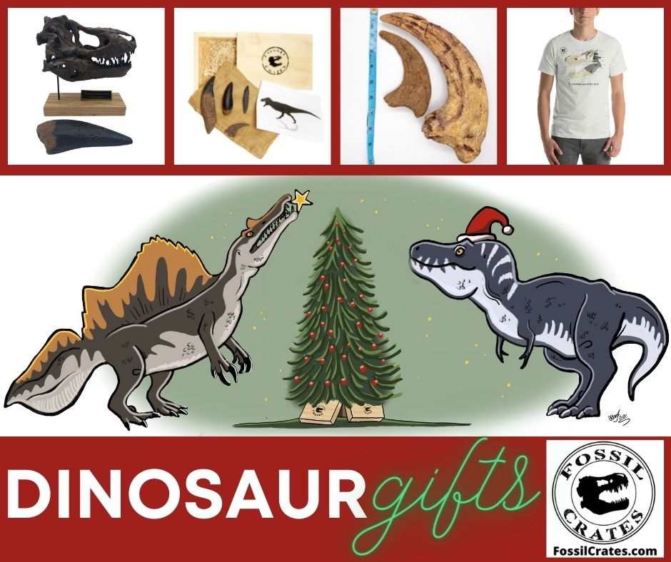 Perfect gifts 🎁 for DINOSAUR 🦖 fans!
FossilCrates.com for museum-quality casts of dinosaur teeth, claws, skulls, and more.

Find out how many dinosaurs &amp; prehistoric creatures you know at FossilCrates.com

Start/add to your amazing collection today!
#FossilCrates