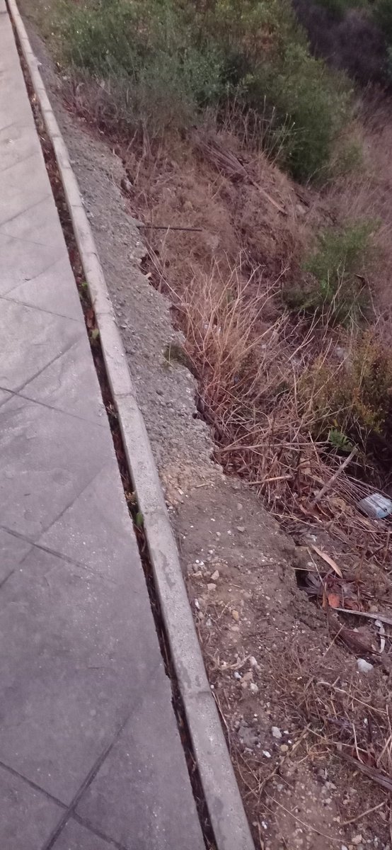 Alcaidesa_AAVV's tweet photo. Se nos desprenderá el acerado, el desnivel es profundo. Calle La alegría. Alcaidesa Cortijo la junta de compensación lo conoce. Pero ¿Lo sabe el Ayto? https://t.co/RETdgNOxpY