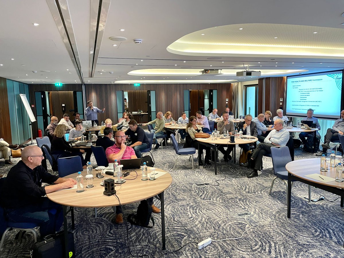 feapinfo's tweet photo. Today and tomorrow #FEAP seminar and commission meetings hosted by @hapo_official are taking place in #Athens🇬🇷 On the menu: training course on #communication, #fish health and welfare, #environment and #climate issues. #BlueFarms #Wearethefuture https://t.co/cVa3UbEXMA