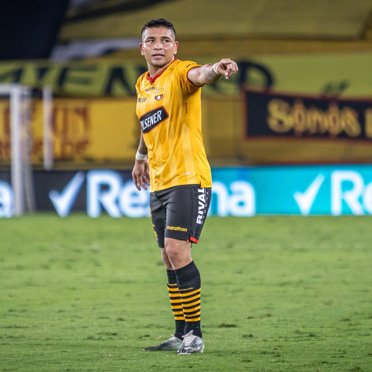 BarcelonaSC's tweet photo. OFICIAL: Mario Pineida y Gabriel Cortez regresan a #BarcelonaSC el 2023.

📄 https://t.co/SB9WaxKbu3 https://t.co/E00jTNKgis