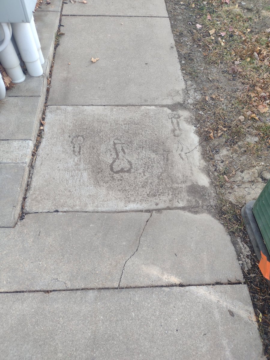 lanternhands's tweet image. The world is full of surprises