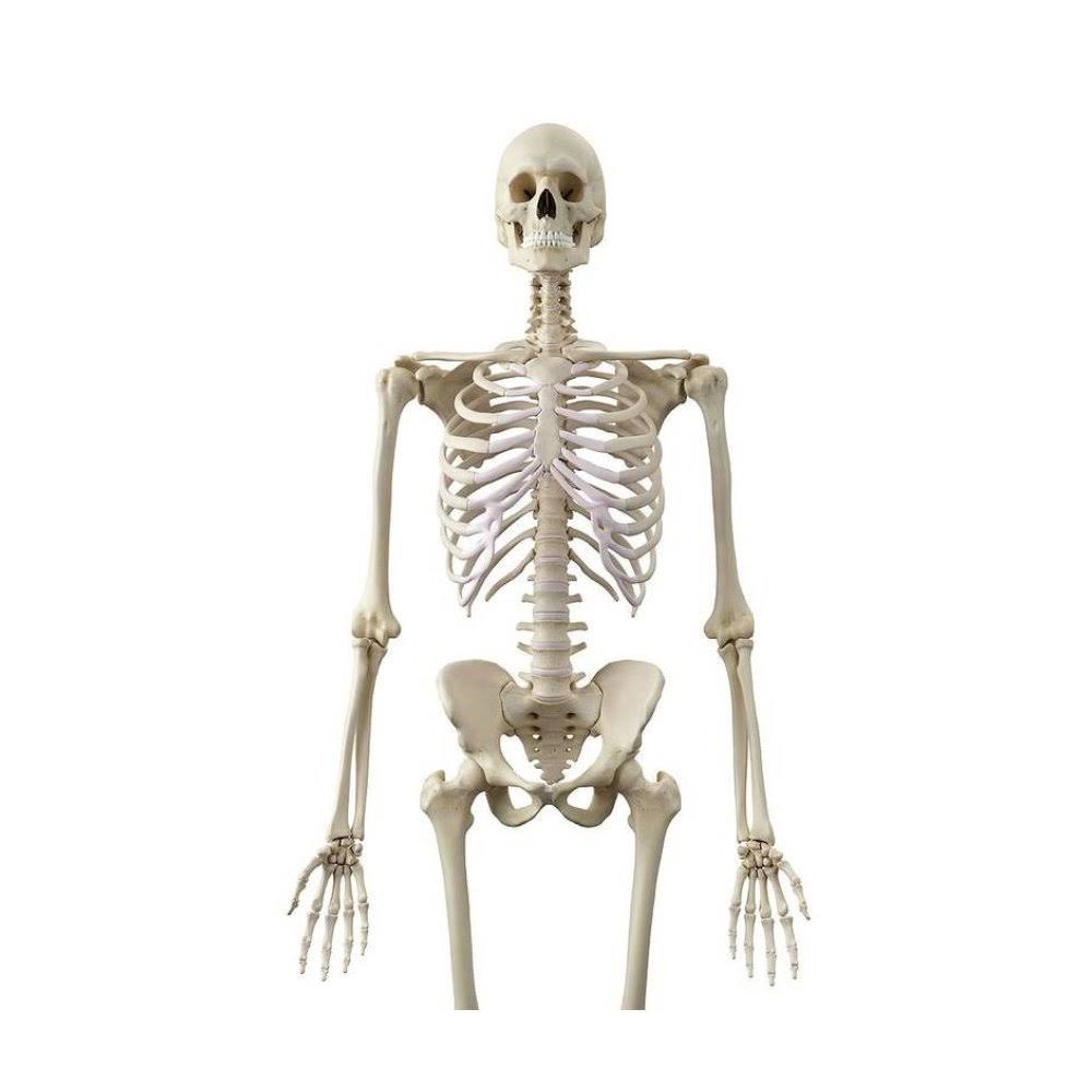 Me by the time <a href="/British_Airways/">British Airways</a> finally gets in touch regarding my complaint…