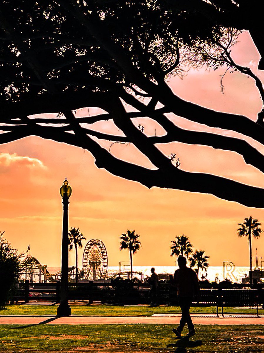 richardgreenla's tweet photo. Sunset over the Santa Monica Bay…
.
#richardgreenla #santamonica #ferriswheel #welivetoexplore #canonusa #aov #artofvisual #exklusive_shot #photographyeveryday #awesomepix #depthsofearth #passionpassport #photography #sunset #sunsetphotography #sunsetlovers https://t.co/VFsiPqZtNI