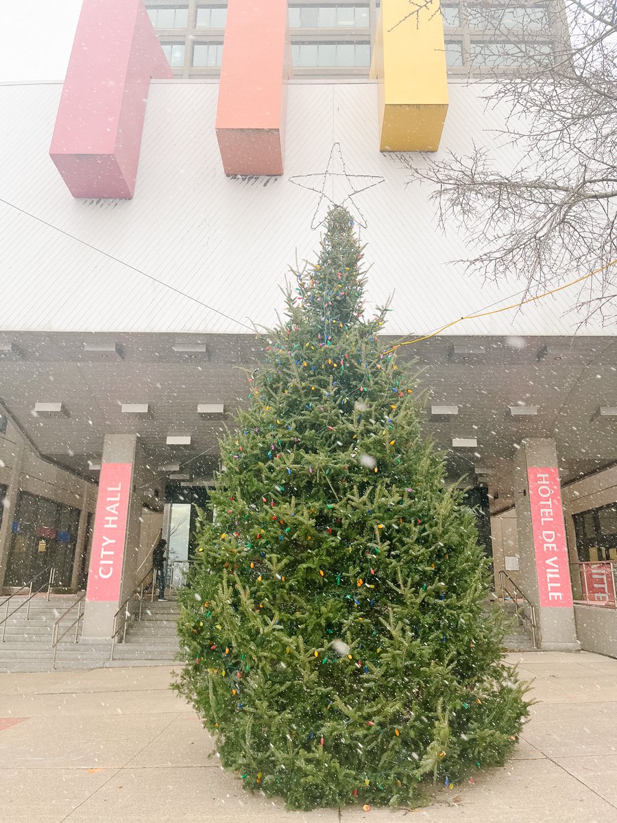 cityofsaintjohn's tweet photo. 🎄Join Mayor &amp; Council tomorrow night for the annual Christmas Tree Lighting in front of City Hall, as part of the #UptownSparkles festivities.

We are excited to power up the tree with help from our friends at @SJENERGY as part of their #100YearsOfEnergy!
https://t.co/p33TPdaefr https://t.co/xIJJyERsu9