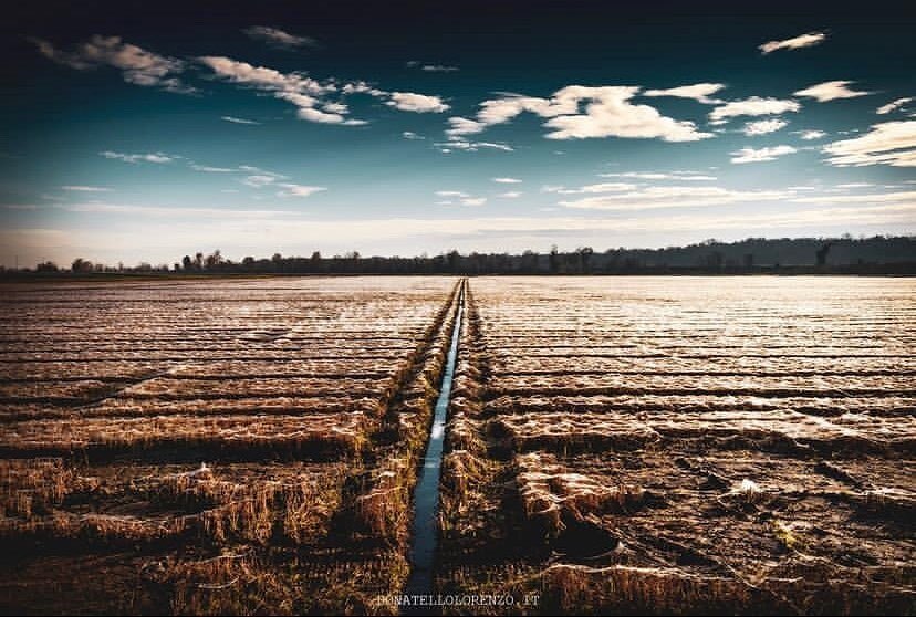 📍Principato di Lucedio
Orizzonti ormai invernali, dove il riso ormai raccolto lascia spazio a giochi di linee e chiaroscuri 
📸 @donatellolorenzo.it e @principatodilucedio 
🔍 selezionato da <a href="/sararocutto/">Sara Rocutto</a>
#⃣ usa #igersvercelli e tagga <a href="/igers_vercelli/">Instagramers Vercelli</a> nelle tue più belle foto pi…