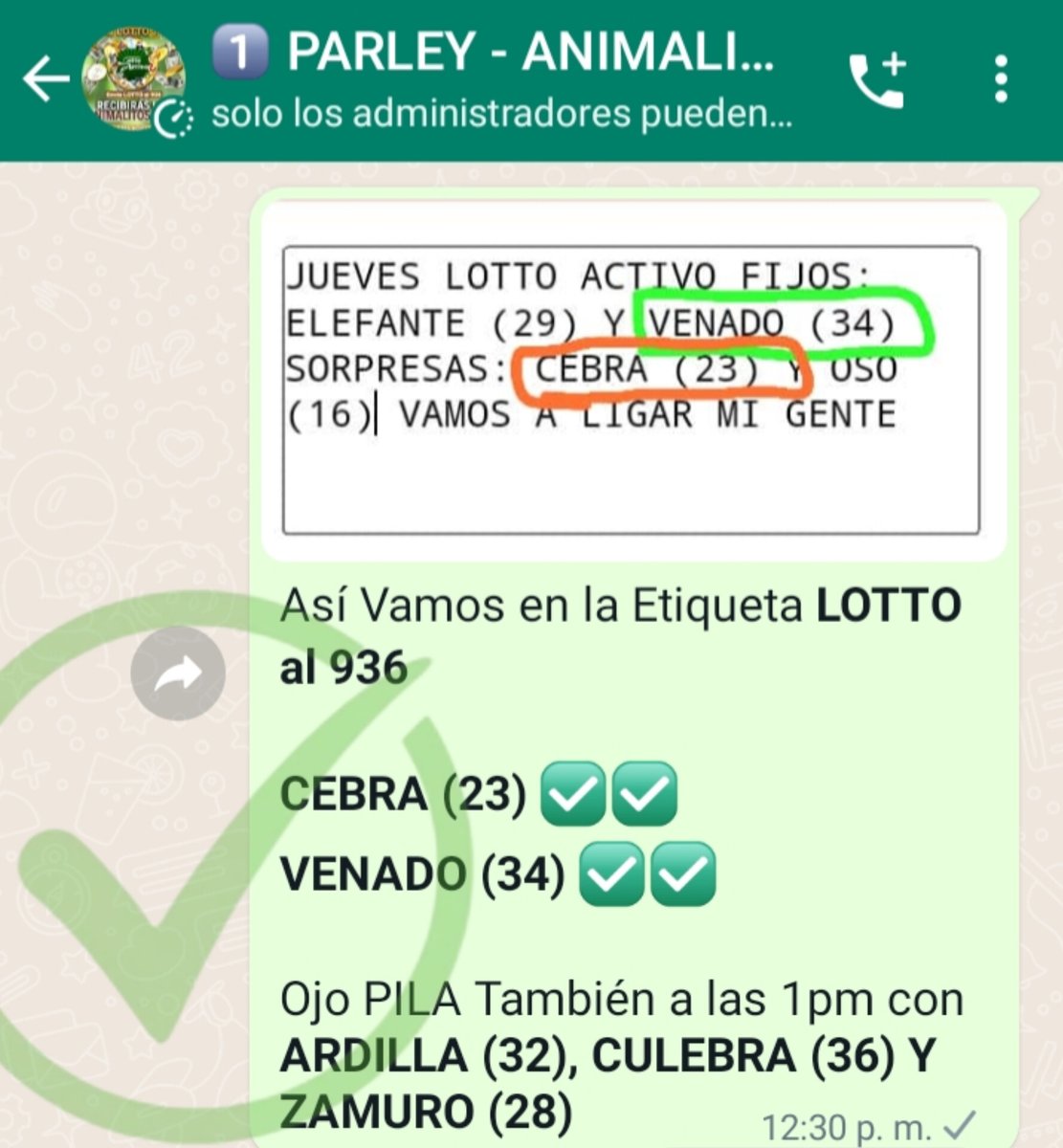 YA ESTAAAAAAA CULEBRA (36) ✅ DATAZO PARA LA 1pm EN LOTTOACTIVO ESTAMOS COCINANDO OTRO DATO QUE SOLO LO COMPARTIRÉ POR EL GRUPO DE WHATSAPP CLICK AQUÍ Y ÚNETE 👇👇👇
chat.whatsapp.com/GOWT1IBZGVA3WS…

Dale RT RT RT y Me Gusta ❤️