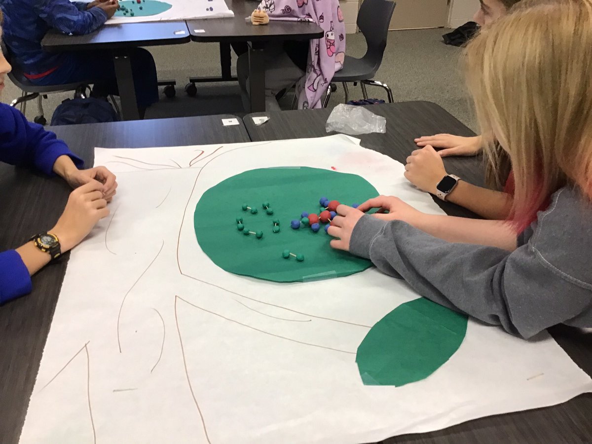 7th gr <a href="/SHMS_Saints/">Scott Highlands</a> used clay to model the rearranging of H2O +CO2 + light in the chloroplasts to build sugar and O2 to help understand how a tree gains it’s mass #science