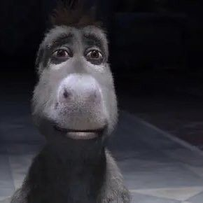 wilbur entrando al stream de quackity intentando hablar portugués