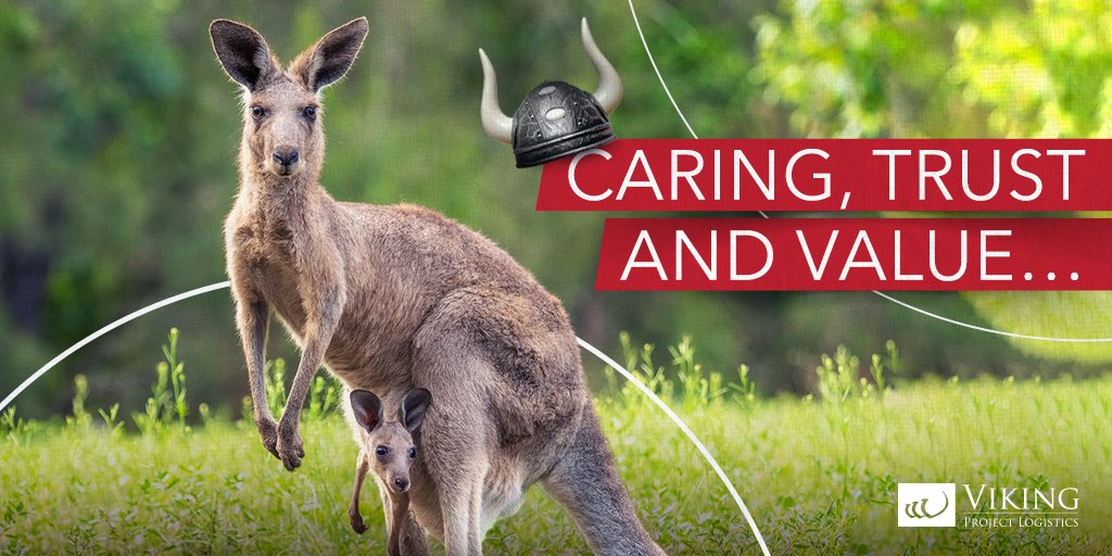 We love our job. We are happy to safely transport your projects wherever you want and add value to your business. Thank you for trusting us.

#projectlogistics #logistics #transport #transportation #proje #lojistik  #nocargoistooheavyforus #passion #caring #trust #value