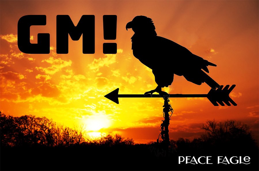 PeaceEagleNFT's tweet photo. GM Peace Eagles!! #peaceeaglenft #eaglestrong #degens #nfts https://t.co/VrFyzkgHWM