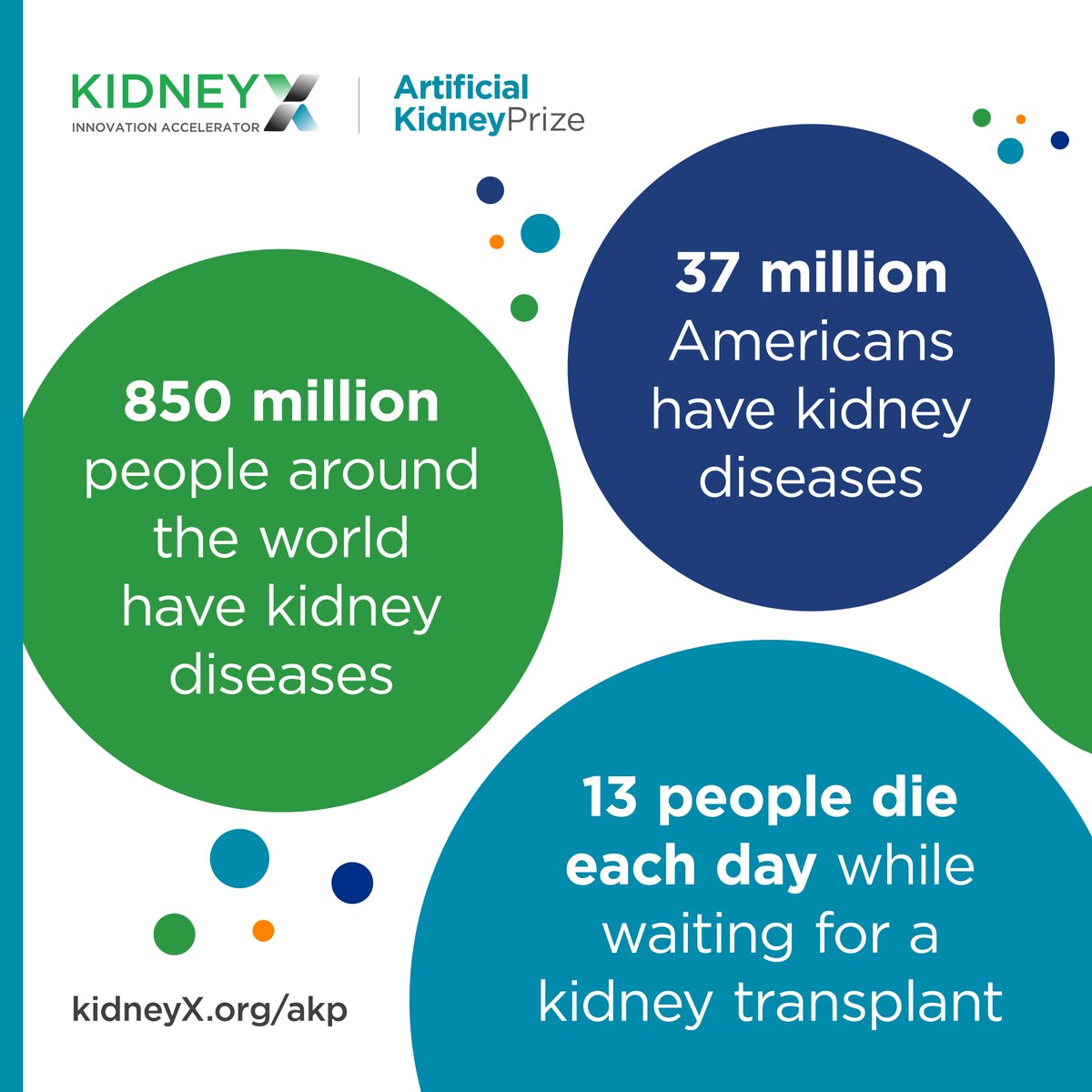 EditrixJen's tweet image. Re-upping with a snazzy graphic by my talented coworker because @Kidney_X has an important story to tell! array.aami.org/content/news/n… #KidneyDiseases #KidneyDisease #ArtificialKidneyPrize #Innovation #RegenMed