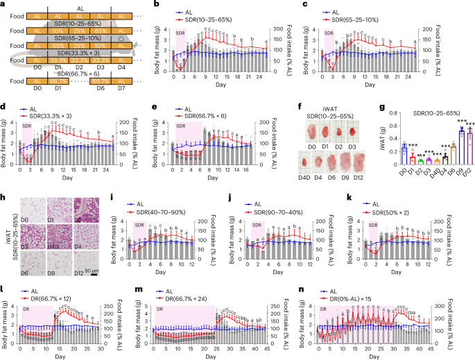 Online now! High-protein diet prevents fat mass increase after dieting by counteracting Lactobacillus-enhanced lipid absorption dlvr.it/SdhFRk