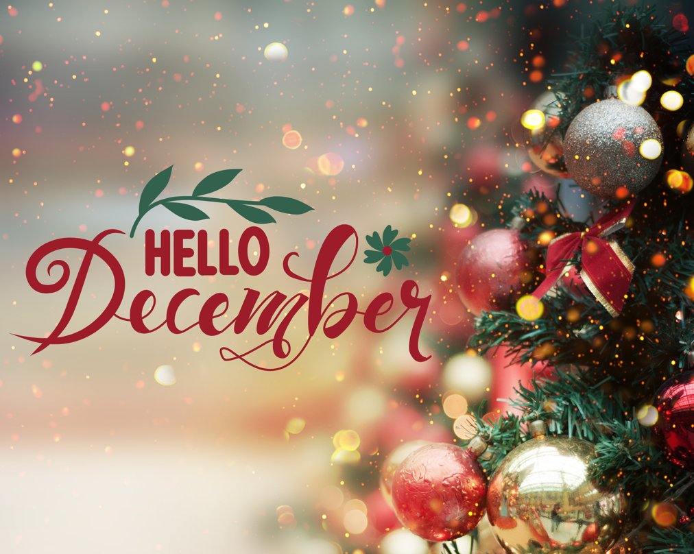 bow_gc's tweet photo. All you need for a cheerful festive December...☃🎄✨ - https://t.co/uDgvc5rP1W https://t.co/Y848FoXuJj