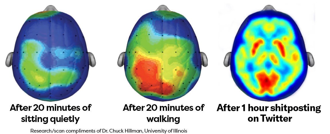 damnventures's tweet image. new data just arrived