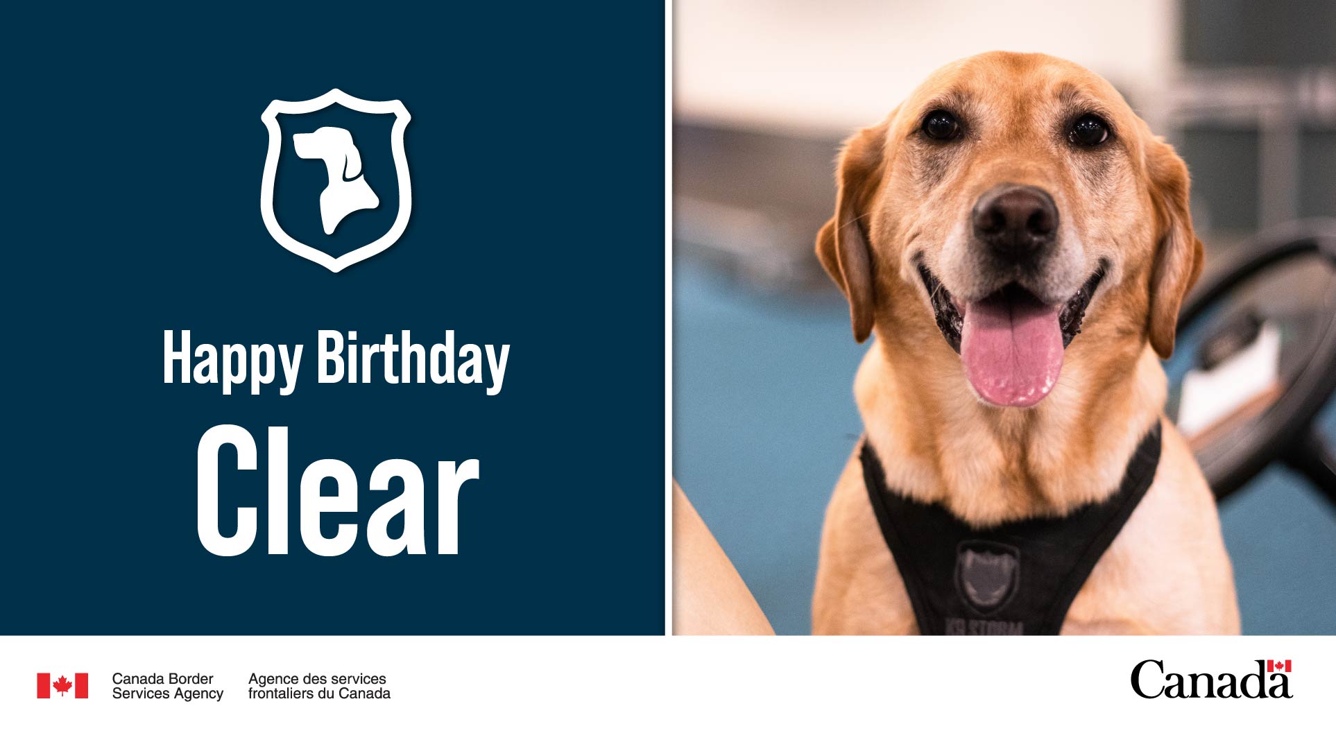 Can A Dog Be Take Across The Canadian Border